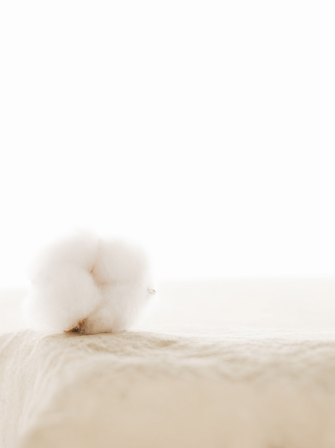 study no. 01 — on cotton: the complete study