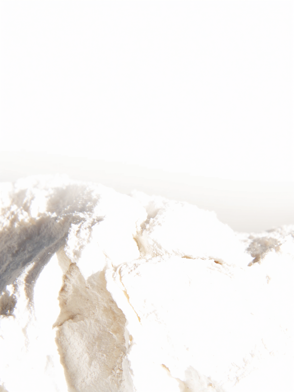study no. 02 — on white: the complete study